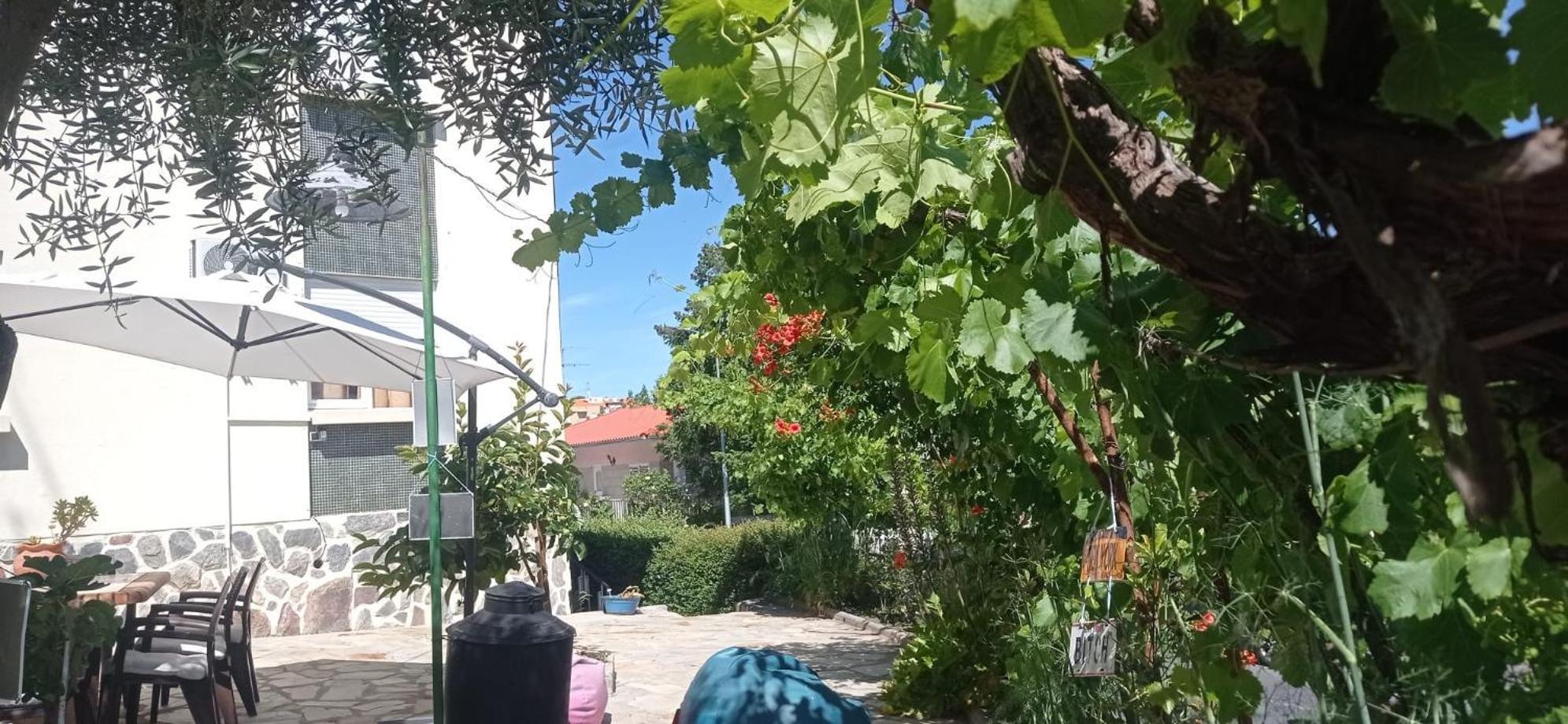Alojamento Local Os Maias Mirandela Esterno foto