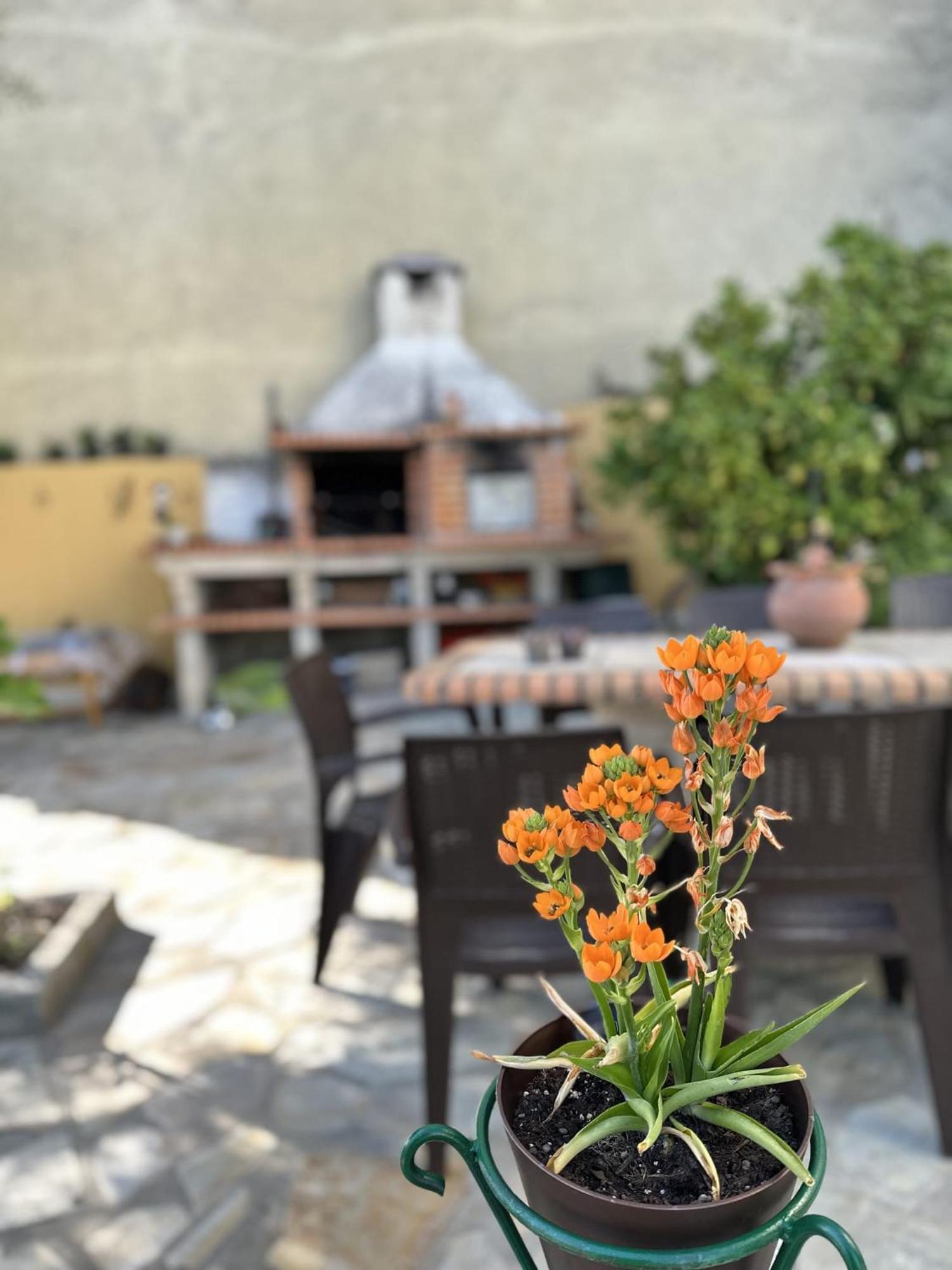 Alojamento Local Os Maias Mirandela Esterno foto